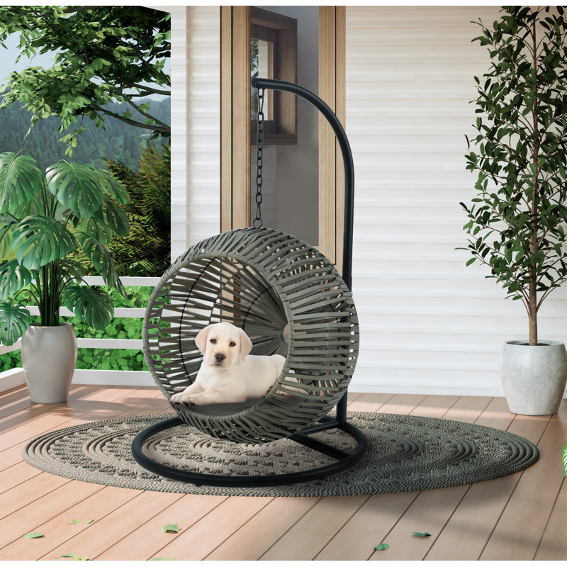 Wayfair dog chair discount